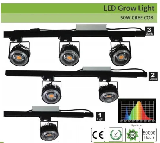 공장 50W 100W Crees COB Cxb3590 LED 성장 빛 3000K 온실 식물용 전체 스펙트럼 LED 성장 빛